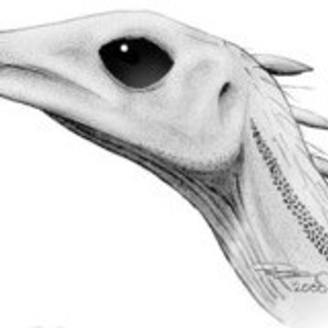 Lesothosaurus