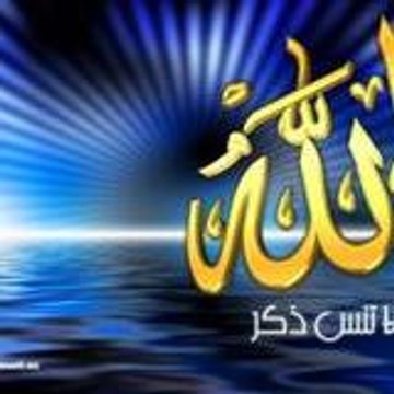 cheikh