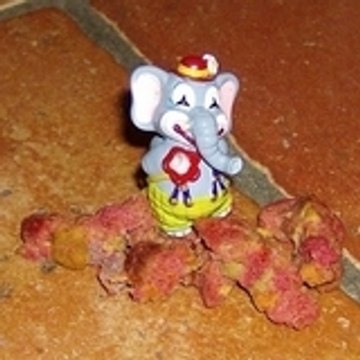 Les fruits