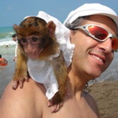 "charly" le singe