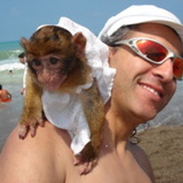 "charly" le singe