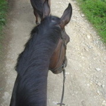 Anne-Laure Fbs