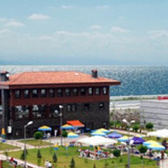 serendertesisleri