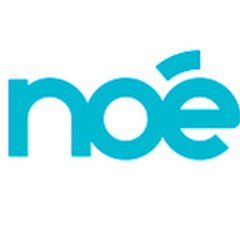NOE LEFEBVRE