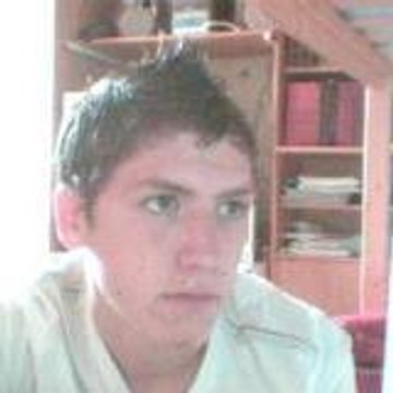 Steve