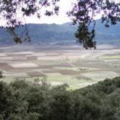Ali_el_himma