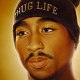 West_Coast_Mafia