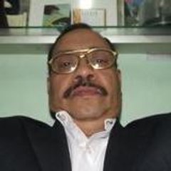 gamal zaky