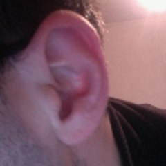 dROMERA11