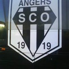 stethi49sco