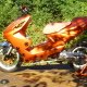 nitrofor