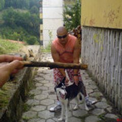 Boyan Demirov Mitev