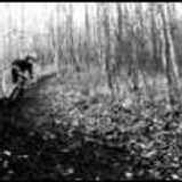 northrider62
