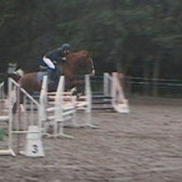 sibylle