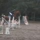 sibylle