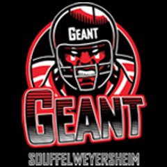 LEGEANT67460