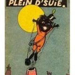 Pleindsuie