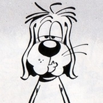 stefanecales