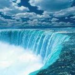 bert aurélien phillipe michel