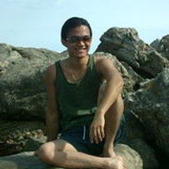 stelroy