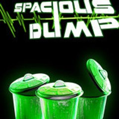 spaciousdump