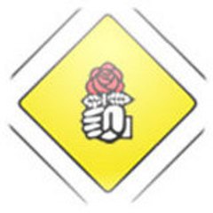Nouveau Parti Socialiste