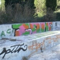 ZOMI1