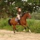 jeannou29