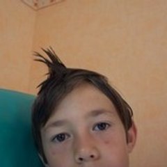 losch95