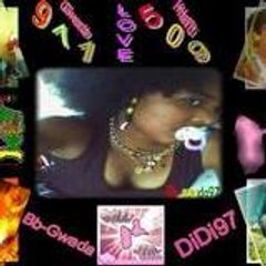 didi97_509