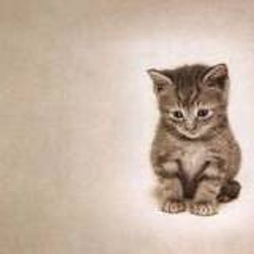 luna06600