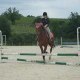 mirabelle-th