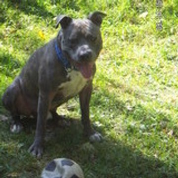orphe45
