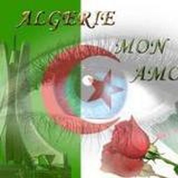 hacheche noureddine