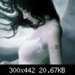 broken_wings_spring