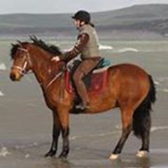 rohann2007