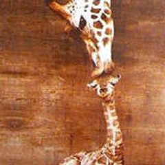 La_girafe