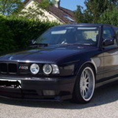 bmpolo