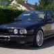 bmpolo