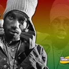 sizzla6