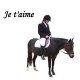 agathe-hipocamp