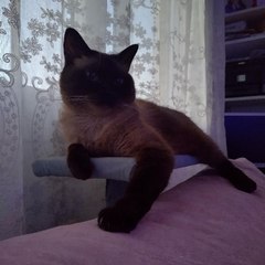 Yuli...........