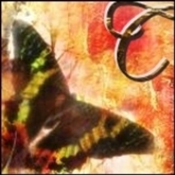 Citha