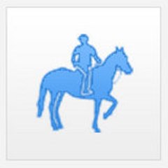 julienhorseball