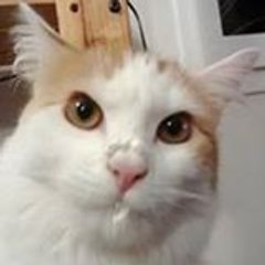 mia_oo