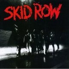 skid493