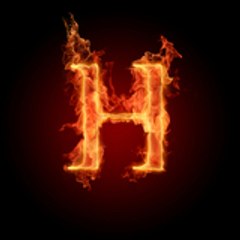 ‎ ♚  HΛИY‎ ♚