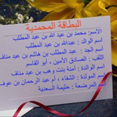 mer zohir
