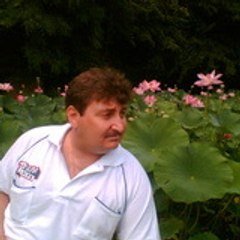 Cristian Spetcu