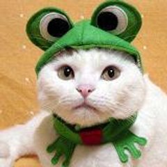 Chats-on-line